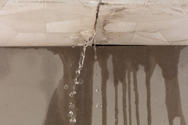 Professional Water Damage Restoration technician working in Millington, NJ